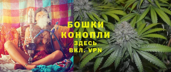 mdpv Няндома