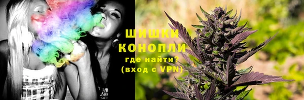 ALPHA-PVP Новозыбков