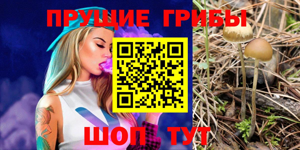 Галлюциногенные грибы GOLDEN TEACHER  Губкинский  Галлюциногенные грибы ЛСД 