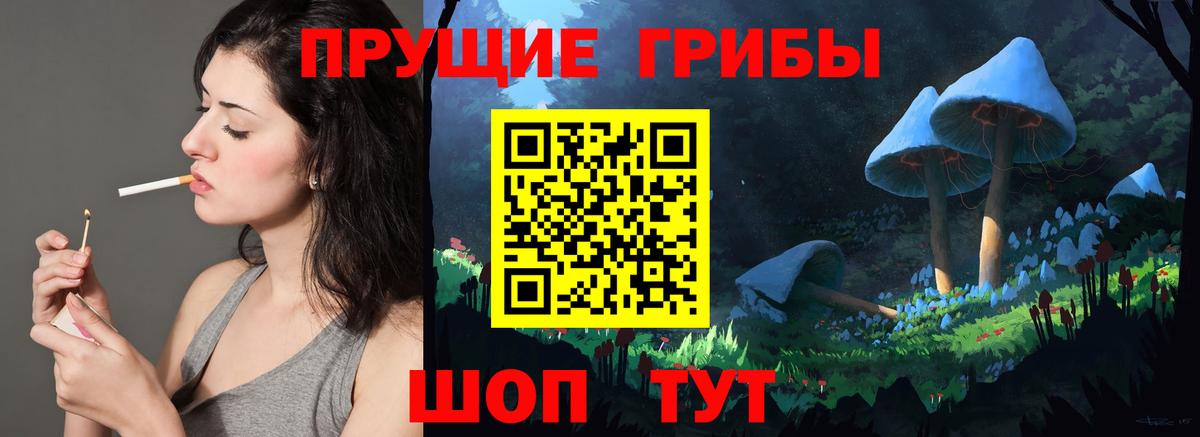 Галлюциногенные грибы Psilocybine cubensis Губкинский